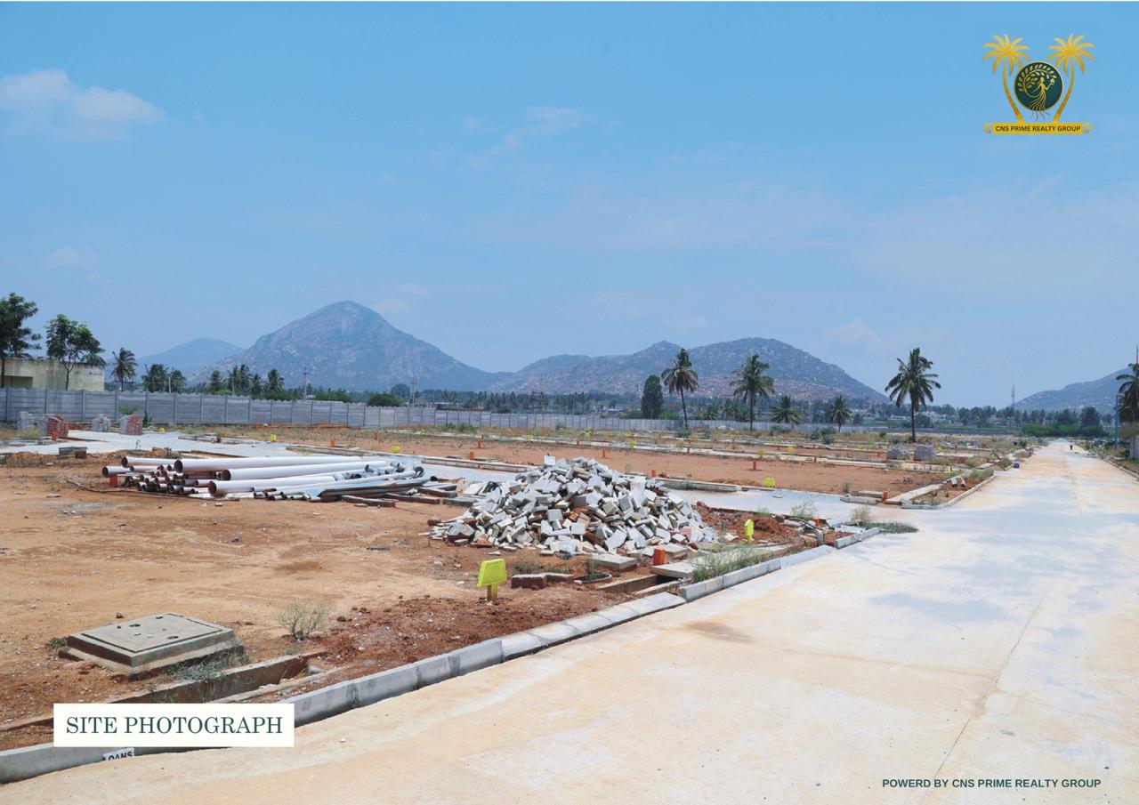 Transparent and reliable property advisory services