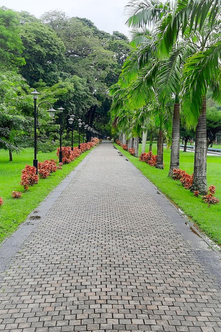 Multipurpose Community Hall