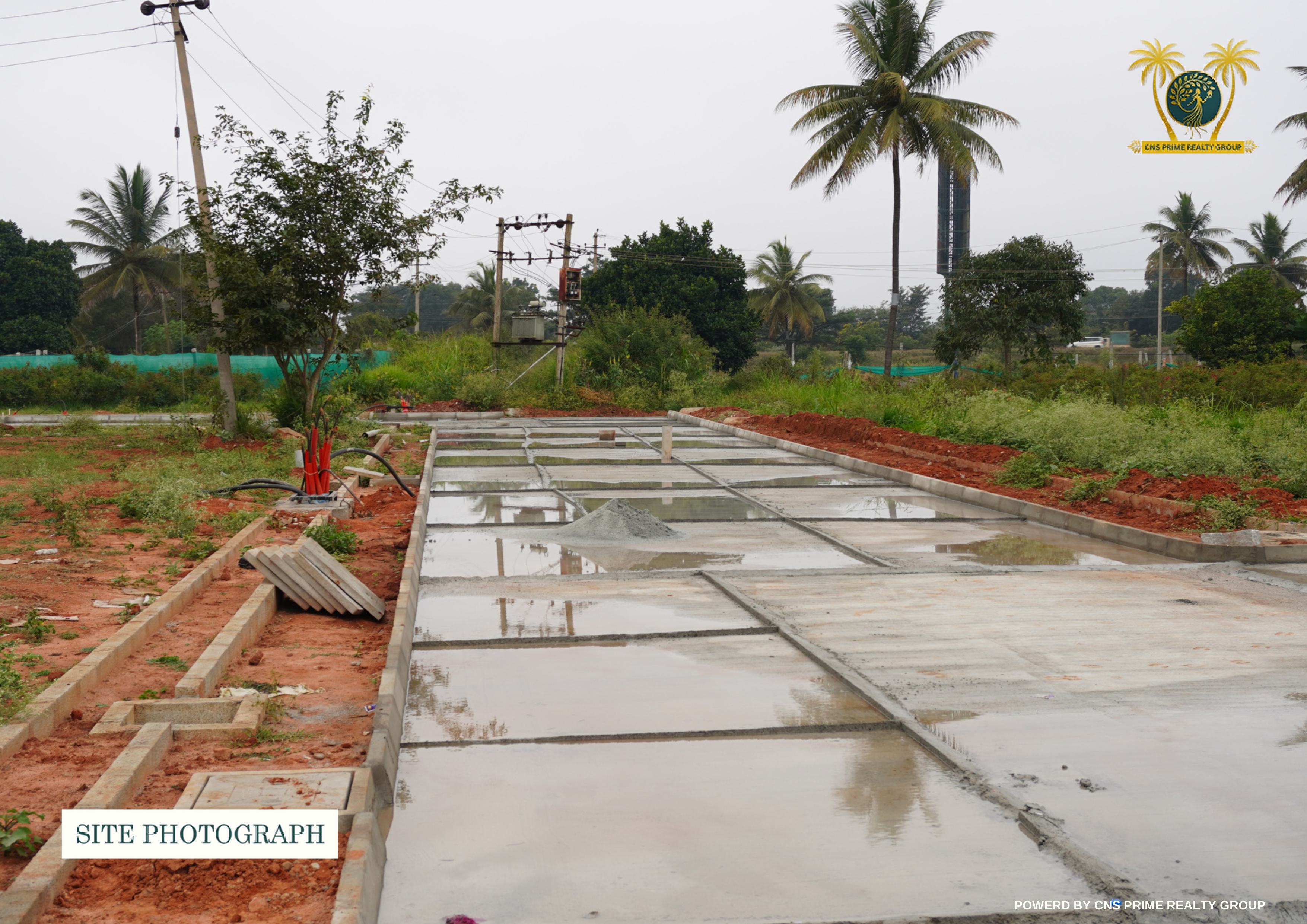 Transparent and reliable property advisory services